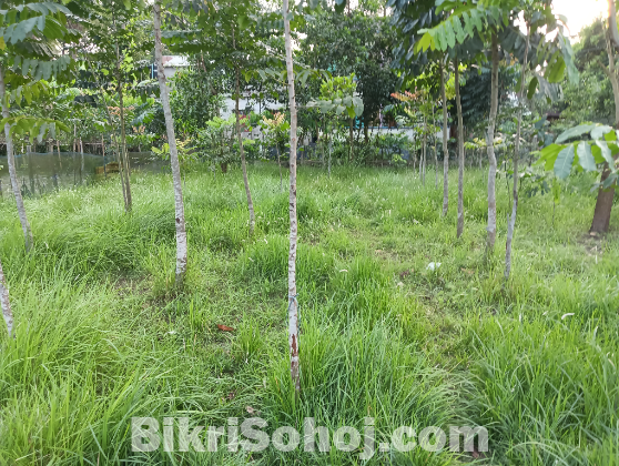 7 শতক জমি